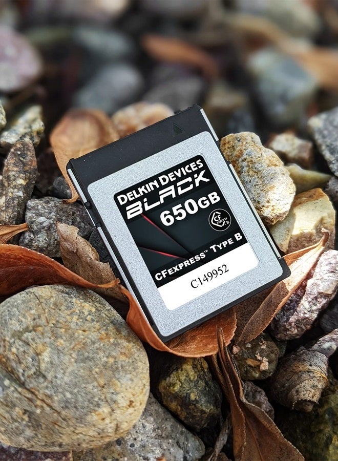 Delkin Devices 650GB BLACK CFexpress Type B Memory Card - Image 2