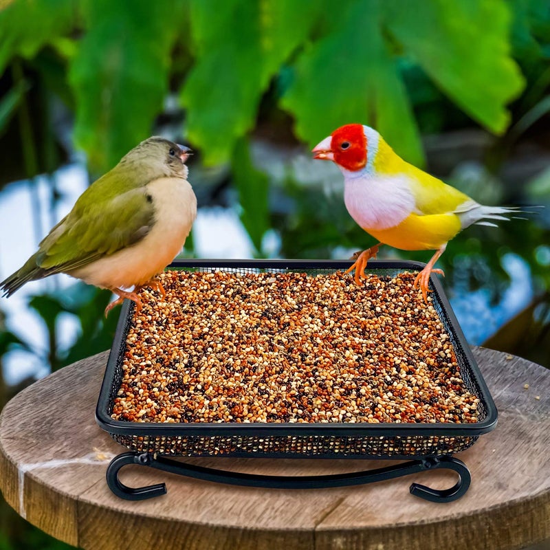 MIXXIDEA Ground Bird Feeder Tray, Metal Platform Mesh Seed Tray for Bird Feeders, Great Attracting Garden Yard Decoration for Wild Birds Squirrels Dove (1 Pack) - Image 2