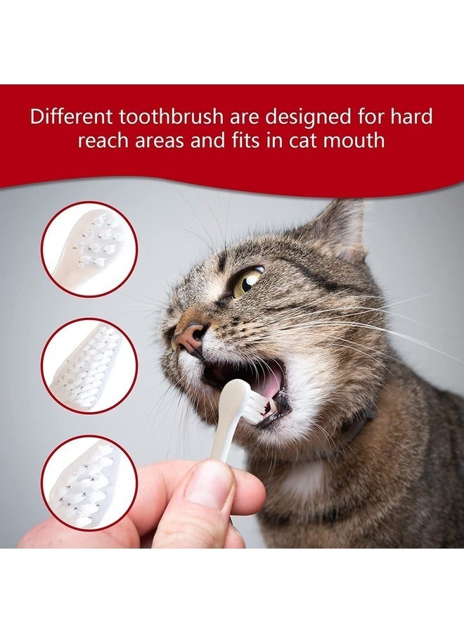 Bioline مجموعة بيولاين لمستلزمات نظافة الأسنان للقطط - فرشاة أسنان ومعجون أسنان للقطط - Image 3