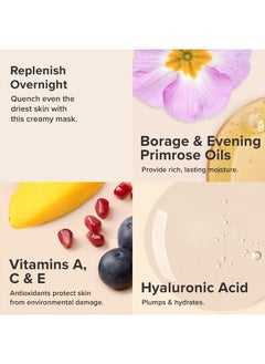 PAULA'S CHOICE SKIN RECOVERY Hydrating Treatment Facial Mask, 4 Ounce Bottle, for Extra Dry Skin  - Image 3
