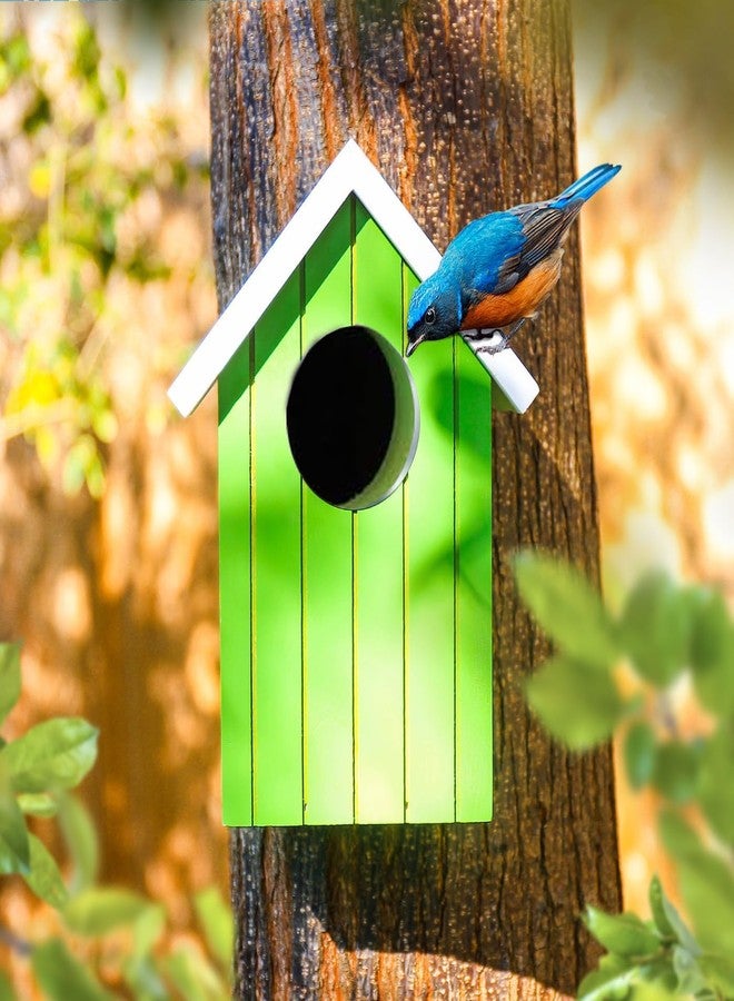 LIVEONCE Wooden Multi Color Bird House Color Green REQULAR - Image 1