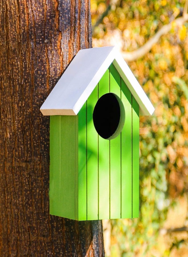 LIVEONCE Wooden Multi Color Bird House Color Green REQULAR - Image 2