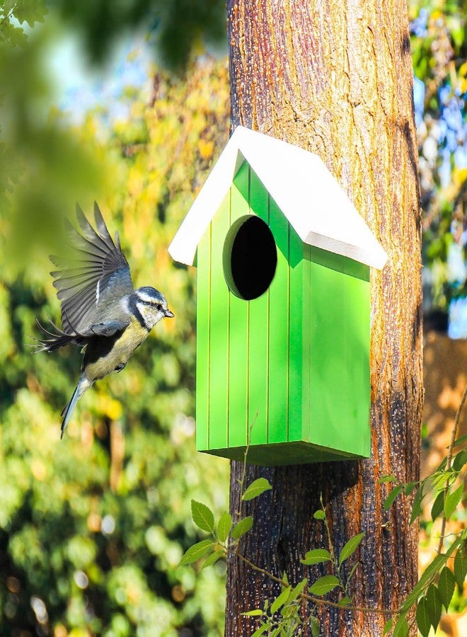 LIVEONCE Wooden Multi Color Bird House Color Green REQULAR - Image 5