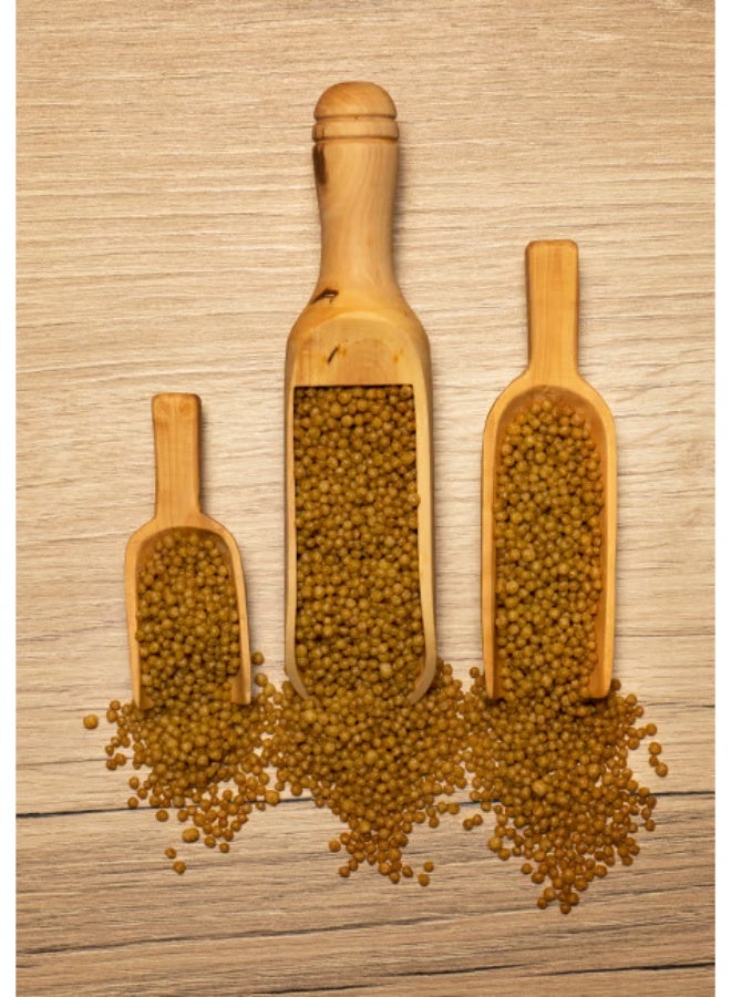 سيتاكوس اكل PSITTACUS سيتاكوس ماينور – غذاء يومي متكامل للطيور الصغيرة والمتوسطة -تغذية ممتازة لطيور الحب, القرين شيك كنيور, الدرة الهندية, الصن كنيور, الفشر (الطيور الصغيرة والمتوسطة) – 450 جرام - Image 2