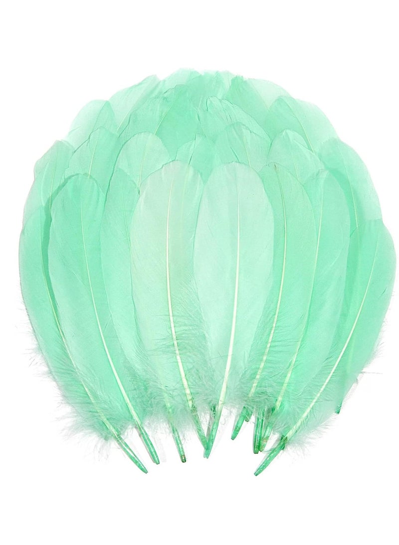 Barakah 100PCS Natural Goose Feathers Decoration Assorted Colorful 6-8 inch Feather for DIY Crafts Festival Erikord(Green) - Image 1