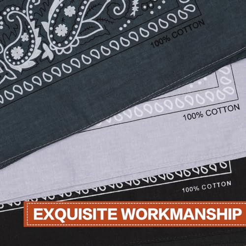 Raylarnia 100% Cotton Large Bandanas for Men and Women, 22 Inch Paisley Bandana with Multiple Colors (Black/Dark Gray/Light Gray) - Image 2