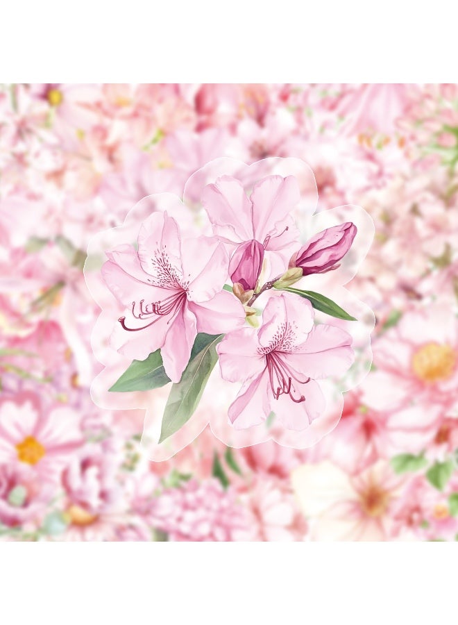 50 Pieces Natural Flowers Stickers for Scrapbooking Pink Flower Waterproof Self-Adhesive Journal Stickers Transparent PET Flower Supplies Stocking for Adult Card Making Letters DIY - Image 3