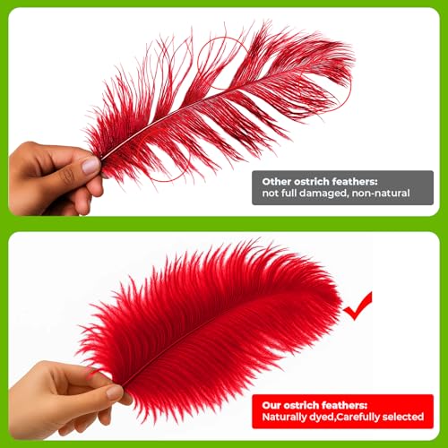 Piokio 20pcs Natural Red Ostrich Feathers 10-12 inch (25-30cm) Bulk Feathers for Wedding Party Centerpieces, Home Decoration and DIY Clothing, Gatsby Decorations - Image 3