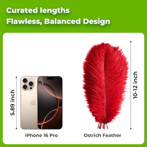 Piokio 20pcs Natural Red Ostrich Feathers 10-12 inch (25-30cm) Bulk Feathers for Wedding Party Centerpieces, Home Decoration and DIY Clothing, Gatsby Decorations - Image 2