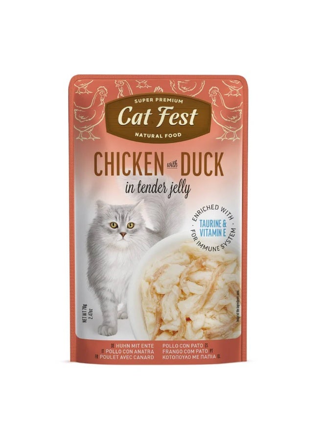 Cat Fest  - Tender Jelly For Cats 70g / Chicken with Duck