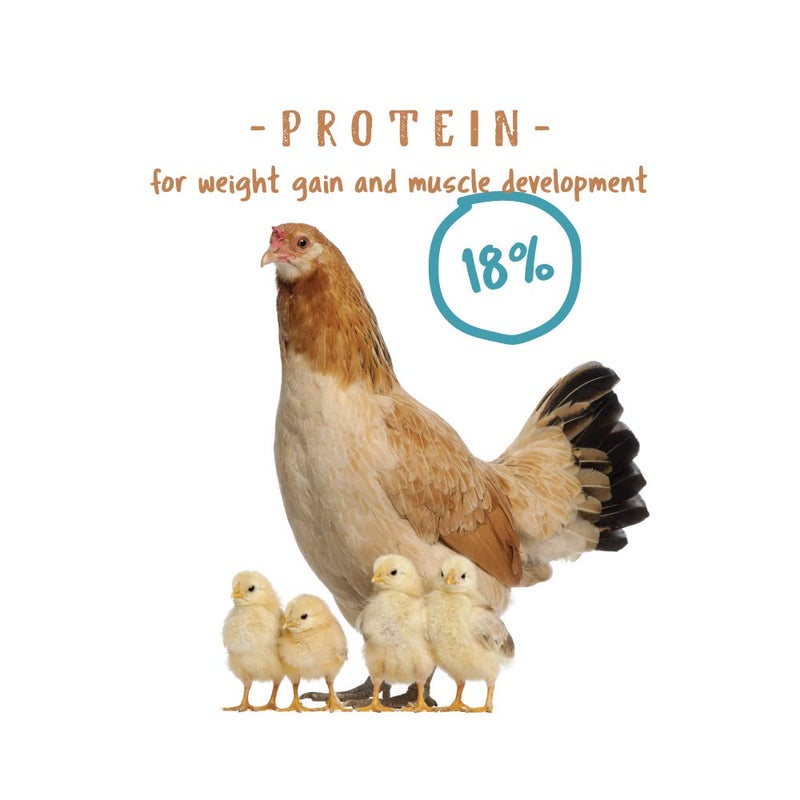 Manna Pro Chick Starter Feed, Non-Medicated Chicken Feed with Vitamins & Minerals, Complete Nutrition for Baby Chicks, 5 lb Bag - Image 5