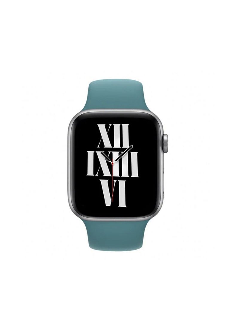HEXABEX Apple Watch Strap/Band Compatible With 46mm/45mm/44mm/49mm Silicone Strap for Apple watch All Series Cactus Blue  - Image 2
