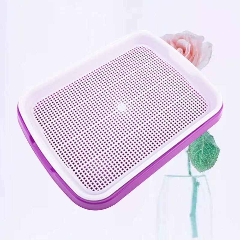 woobles Seed Sprouter Tray Soil-Free Food Grade PP Healthy Wheatgrass Grower-35x26x5cm(Purple) - Image 2