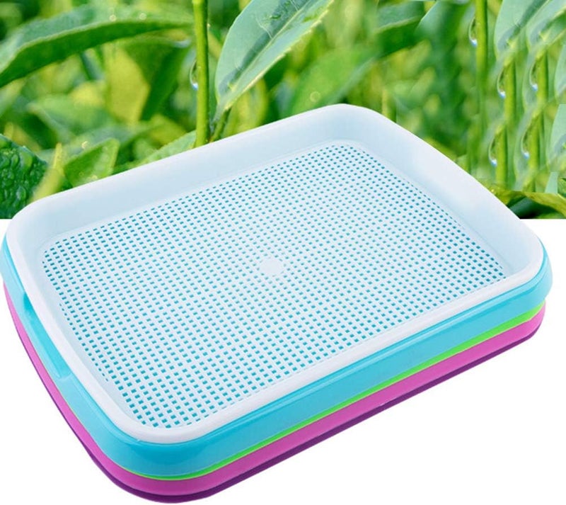 woobles Seed Sprouter Tray Soil-Free Food Grade PP Healthy Wheatgrass Grower-35x26x5cm(Purple) - Image 4
