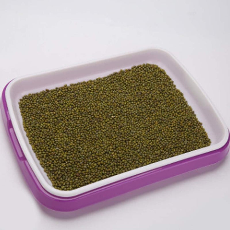 woobles Seed Sprouter Tray Soil-Free Food Grade PP Healthy Wheatgrass Grower-35x26x5cm(Purple) - Image 5