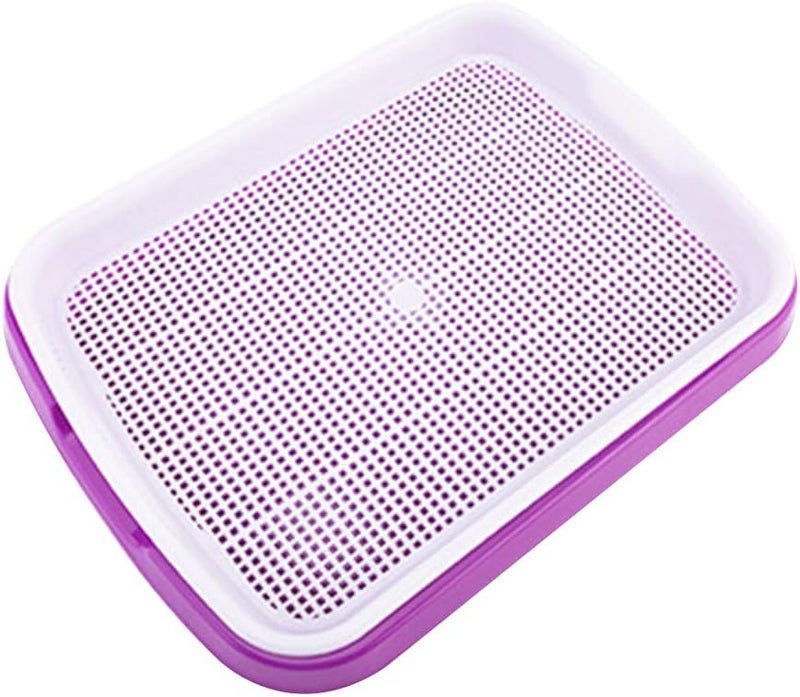 woobles Seed Sprouter Tray Soil-Free Food Grade PP Healthy Wheatgrass Grower-35x26x5cm(Purple) - Image 1