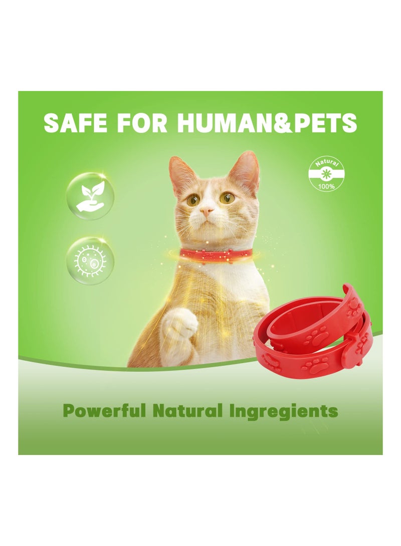 2 Pack Adjustable Natural Oil Flea and Tick Collars for Cats and Puppies 33cm Red - Image 2