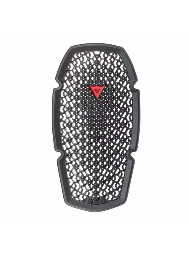 DAINESE PRO-ARMOR G2 2.0 Back Protector
