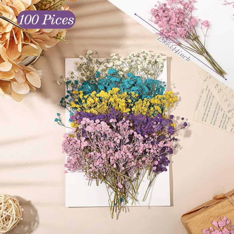 Woanger ووانجر 100 قطعة من زهور نفس الطفل المجففة الصغيرة بالجملة لفن الراتنج والحرف اليدوية فروع الجبس الطبيعي المجفف لصنع بطاقات الزفاف وتغليف الهدايا وزهور نفس الطفل المضغوطة باقة 5 ألوان - Image 2