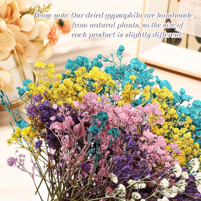 Woanger ووانجر 100 قطعة من زهور نفس الطفل المجففة الصغيرة بالجملة لفن الراتنج والحرف اليدوية فروع الجبس الطبيعي المجفف لصنع بطاقات الزفاف وتغليف الهدايا وزهور نفس الطفل المضغوطة باقة 5 ألوان - Image 3