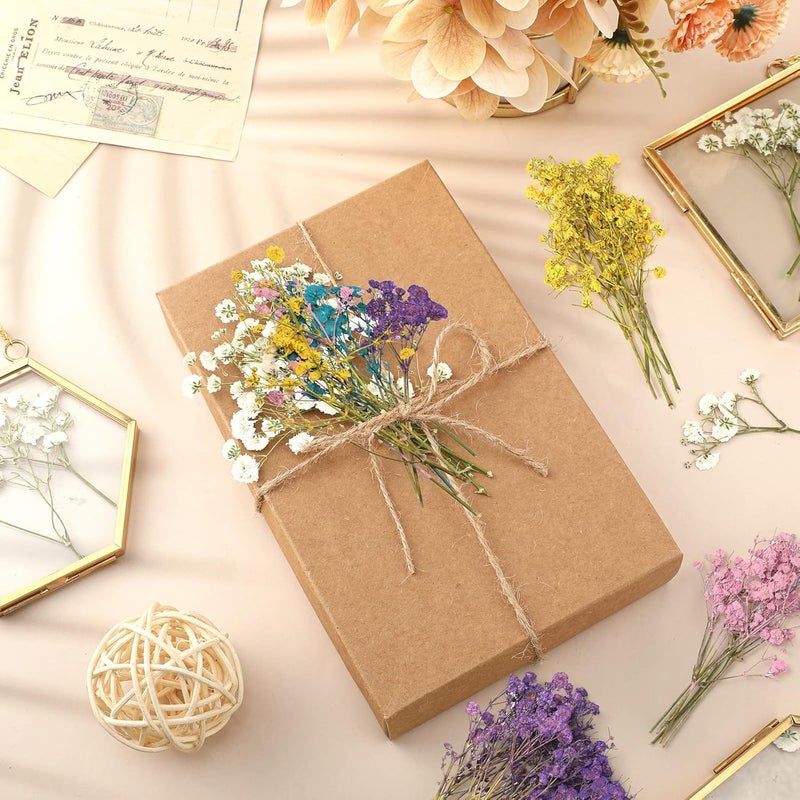 Woanger ووانجر 100 قطعة من زهور نفس الطفل المجففة الصغيرة بالجملة لفن الراتنج والحرف اليدوية فروع الجبس الطبيعي المجفف لصنع بطاقات الزفاف وتغليف الهدايا وزهور نفس الطفل المضغوطة باقة 5 ألوان - Image 4