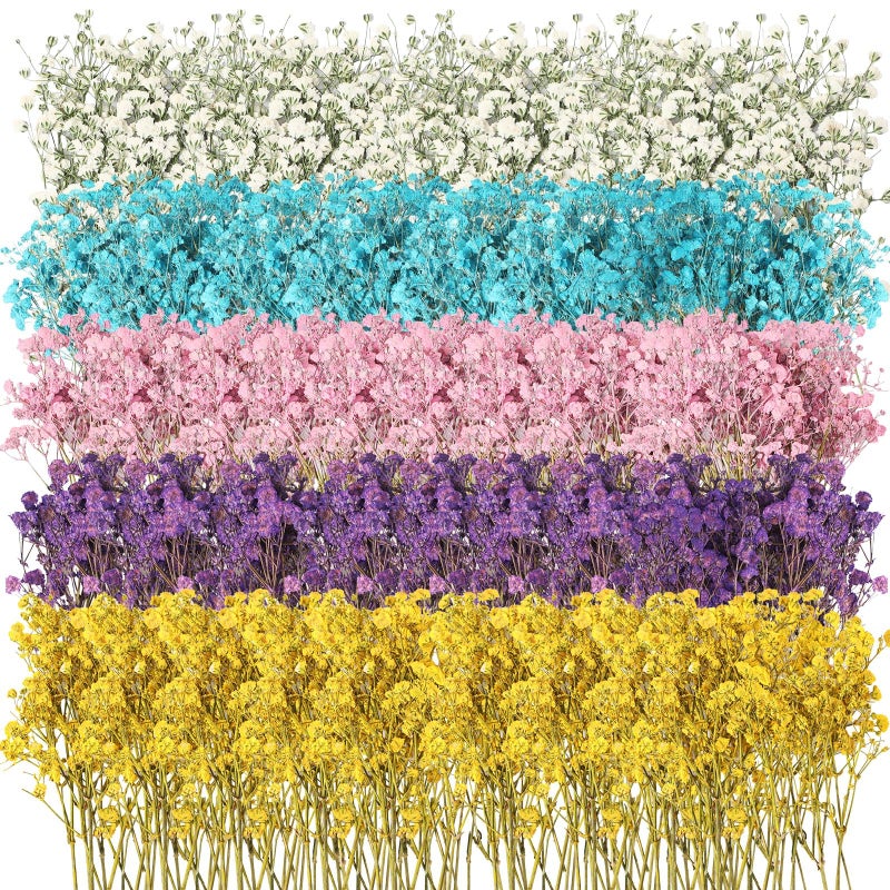 Woanger ووانجر 100 قطعة من زهور نفس الطفل المجففة الصغيرة بالجملة لفن الراتنج والحرف اليدوية فروع الجبس الطبيعي المجفف لصنع بطاقات الزفاف وتغليف الهدايا وزهور نفس الطفل المضغوطة باقة 5 ألوان - Image 1