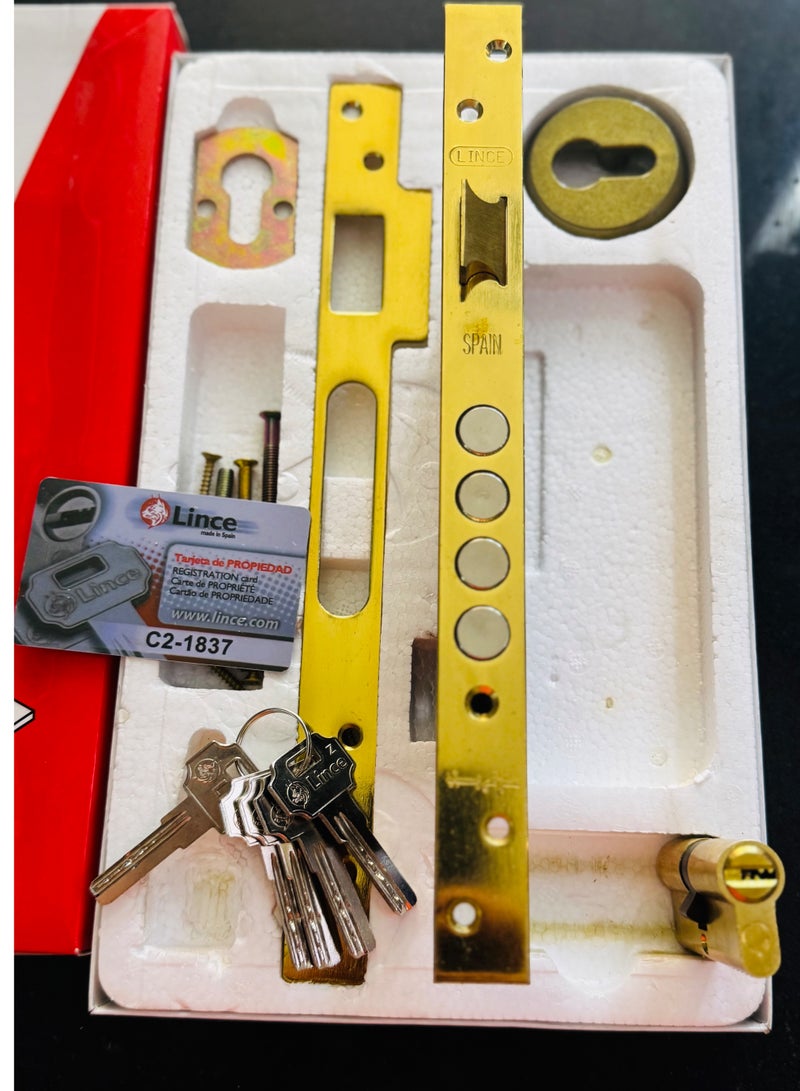 LINCE High-Security Computer Cylinder Door Lock – Solid Brass – 5 Keys – 2-Pin & 4-Steel Bars – Gold Finish – Made in Spain - Image 5