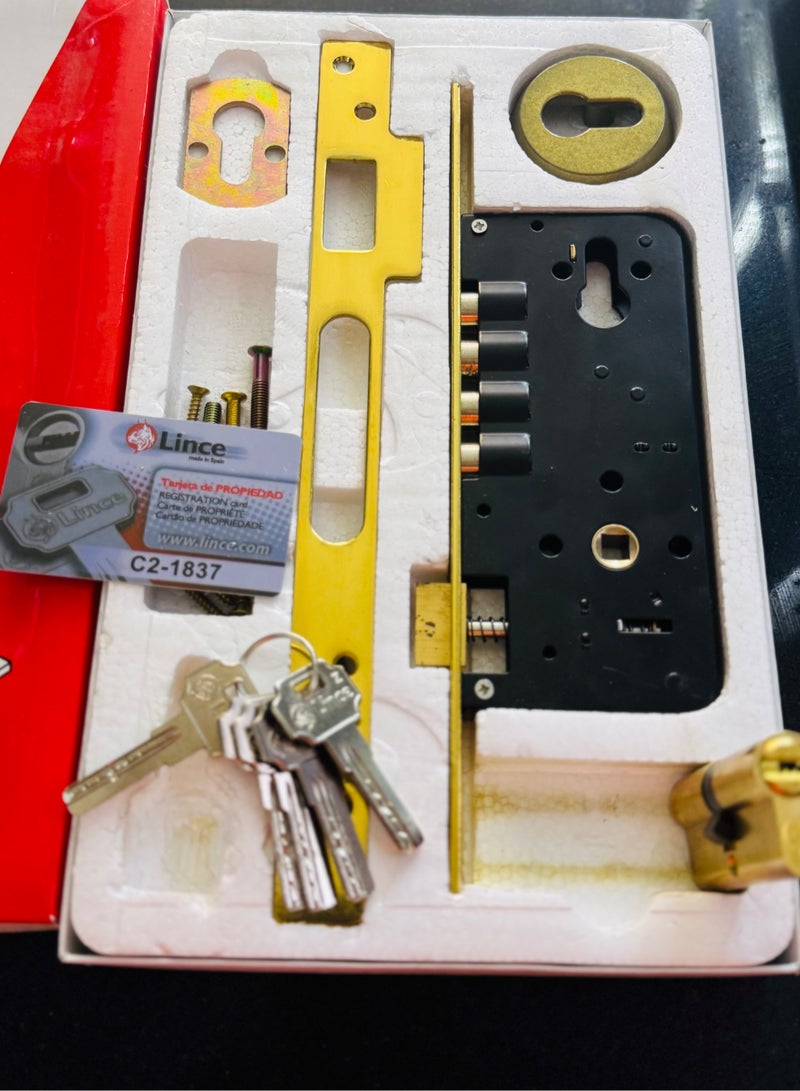 LINCE High-Security Computer Cylinder Door Lock – Solid Brass – 5 Keys – 2-Pin & 4-Steel Bars – Gold Finish – Made in Spain - Image 4