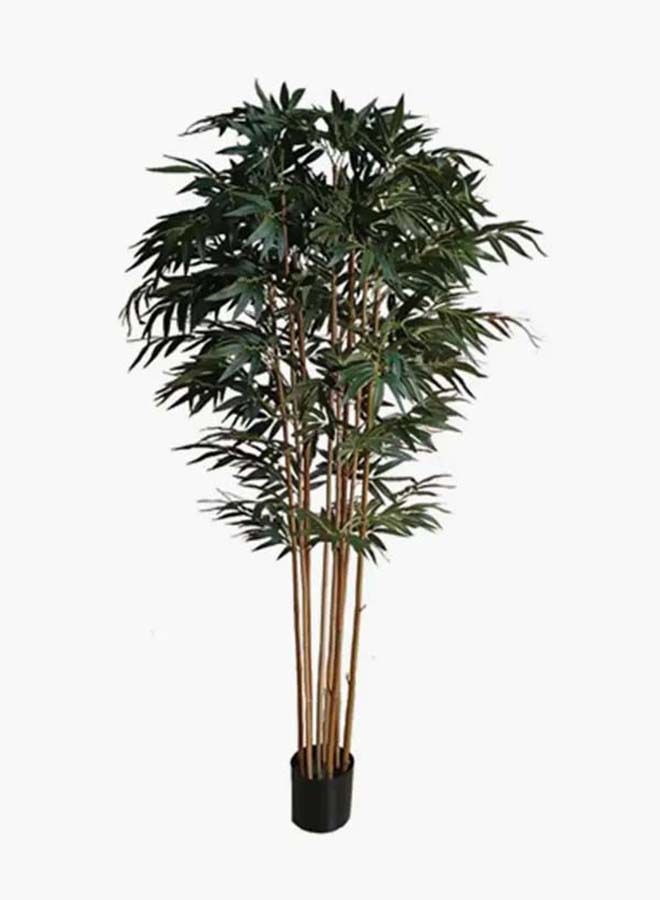 2XL Home Bamboo Tree Green Height 213cm 