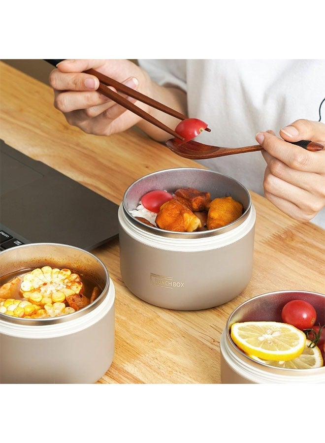 ﻿ Portable Insulated Lunch Containers with Insulation Bag, Separate Stackable Lunch Container, Leakproof Stackable Stainless Steel Food Container, for Adult Men Women Kids, Insulated Bento Boxes (Brown, 3Tier)