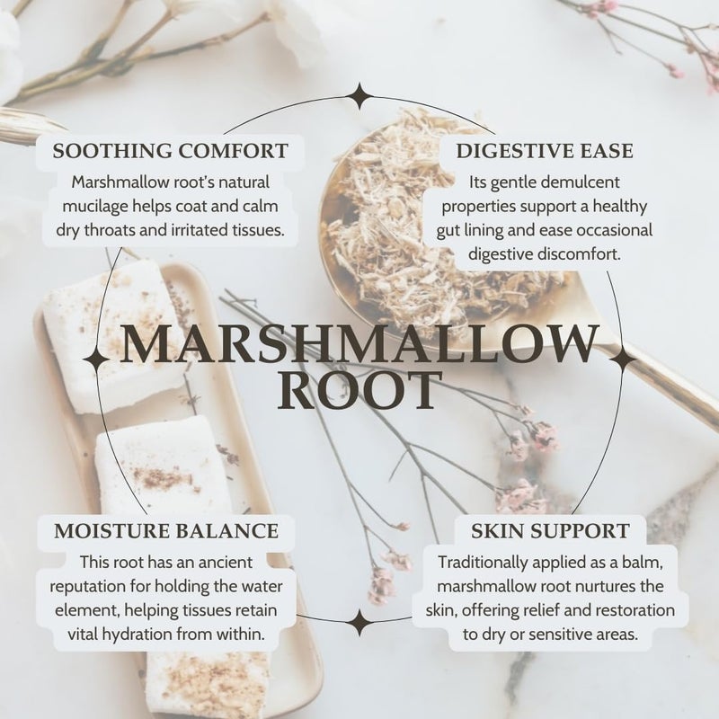 Elanen Naturals Organic Marshmallow Root Herb 4 oz. (113g), USDA Certified Organic Marshmallow Root Bulk, Marshamallow Althaea Officinalis, Althea Herb, Cut & Sifted - Image 3