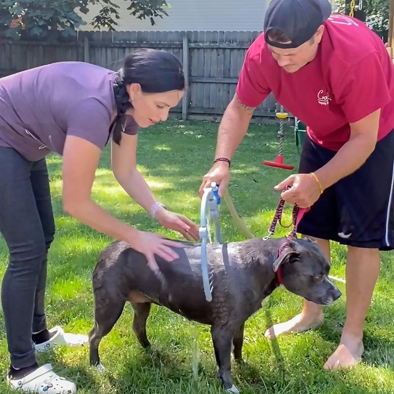 Drumstone (𝟏𝟓 𝐘𝐄𝐀𝐑𝐒 𝐖𝐀𝐑𝐑𝐀𝐍𝐓𝐘) Woof Washer 360° Dog & Pet Bathing Shower Ring | Handheld Pet Bathing Tool with Shampoo Holder for Easy and Efficient Pet Cleaning - Image 4