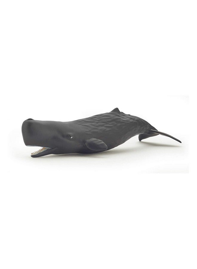 Papo - Hand-Painted - Figurine - Marine Life - Sperm Whale Calf-56045 - Collectible - for Children - Suitable for Boys and Girls - from 3 Years Old - Image 1