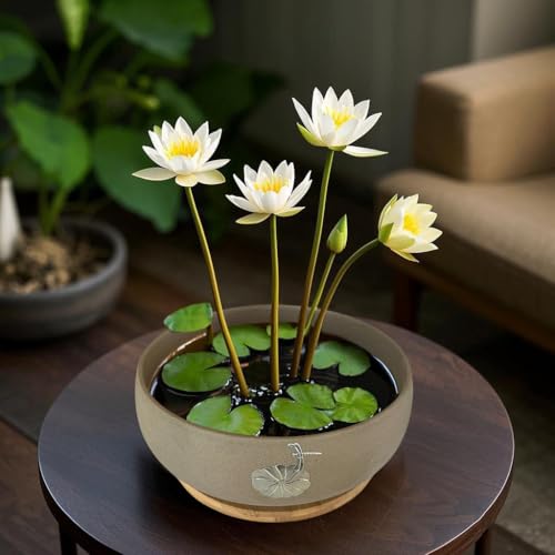 MUZHI Round Ceramic Hydroponic Bowl Lotus Planter Pot with Bamboo Tray, Classic Pottery Water Lily Bowl Planter Container Inlaid Dragonfly and Lotus Leaf Decor 7.3" - Image 4