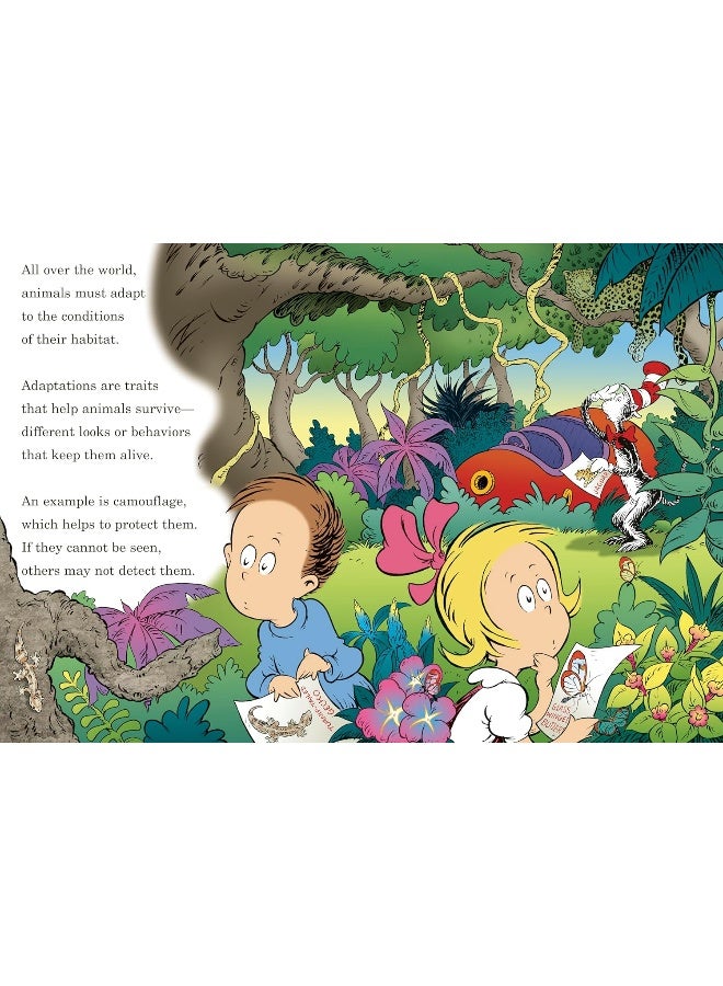 Random House Books for Young Readers High? Low? Where Did It Go?: All About Animal Camouflage - Image 3