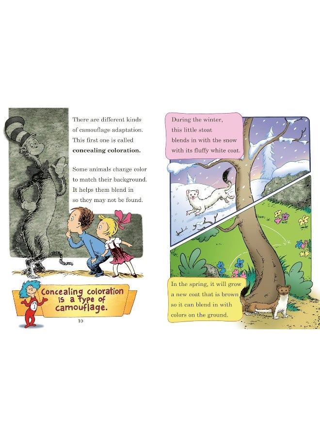 Random House Books for Young Readers High? Low? Where Did It Go?: All About Animal Camouflage - Image 4