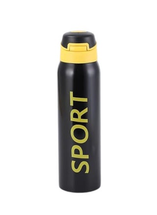 Stainless Steel Sports Water Bottle – Vacuum Insulated & Leak Proof (500Ml, Black) - pzsku/Z27264D2901FD02B74A27Z/45/_/1732878463/27829e71-29f3-4b2e-9c6b-0f568b8c0bfd