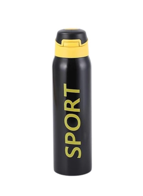 Stainless Steel Sports Water Bottle – Vacuum Insulated & Leak Proof (500Ml, Black)