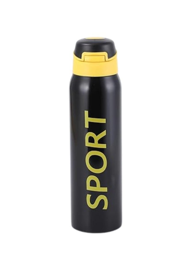 Stainless Steel Sports Water Bottle – Vacuum Insulated & Leak Proof (500Ml, Black)