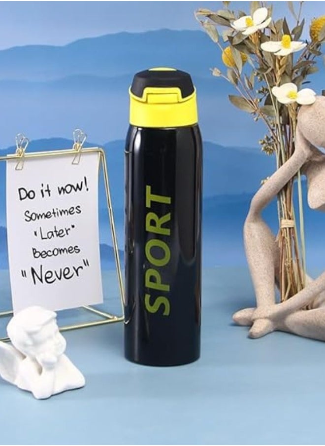 Stainless Steel Sports Water Bottle – Vacuum Insulated & Leak Proof (500Ml, Black)