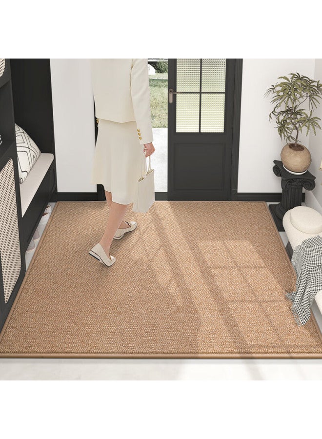 Dajiang Entrance Mat, Doorway Rug, Foyer Mat, Luxurious High-end Carpet, 60x90cm - Image 2