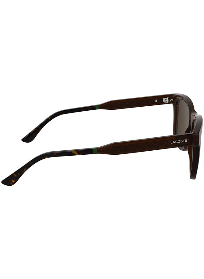 LACOSTE نظارات شمسية لاكوست كاملة الإطار L6060S 5417 (210) شفافة بني داكن - Image 5