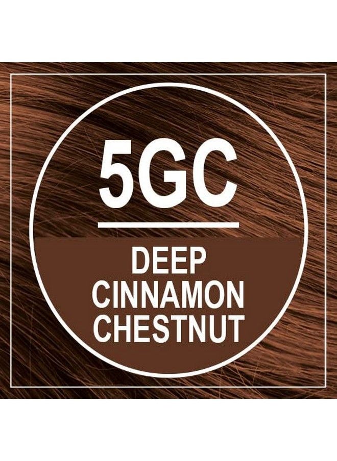 NATURTINT Permanent Hair Color 5Gc Deep Cinnamon Chestnut (Pack Of 1) Ammonia Free Vegan Cruelty Free Up To 100% Gray Coverage Long Lasting Results  - Image 4