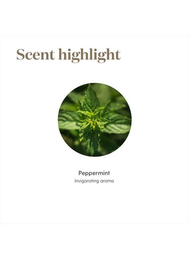 Young Living - Peppermint Essential Oil by Young Living, 15 Milliliters, Topical and Aromatic - Image 1
