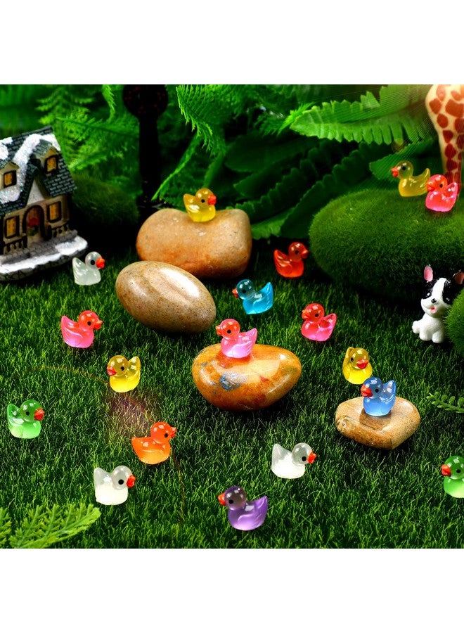 Queekay 50 قطعة من البط المصغر المصنوع من الراتنج - بط صغير مضيء - زينة مضيئة في الظلام لزينة منزل الدمى وحديقة الزينة - حرف يدوي - منظر طبيعي مصغر - زينة حوض السمك - زينة حفلات (بط) - Image 2