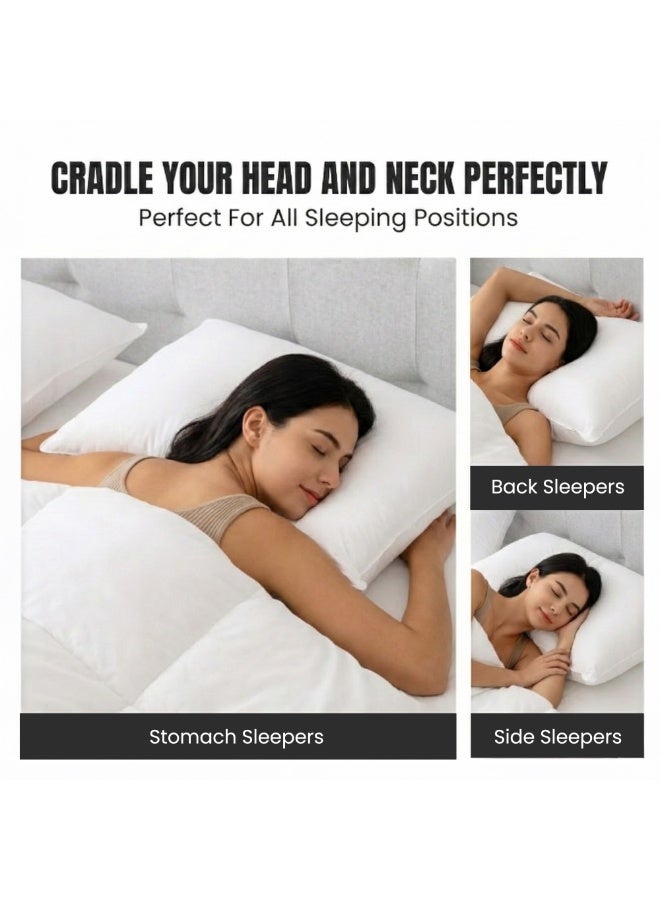 VANTAGE COMFORTS Goose Feather Down Pillow Standard Size 50 x 65cm | 90% Goose Feather + 10% Goose Down | Backrest Pillow | Luxury Sleeping Pillow | Natural Cotton Down-Proof Cushion for All - Image 4