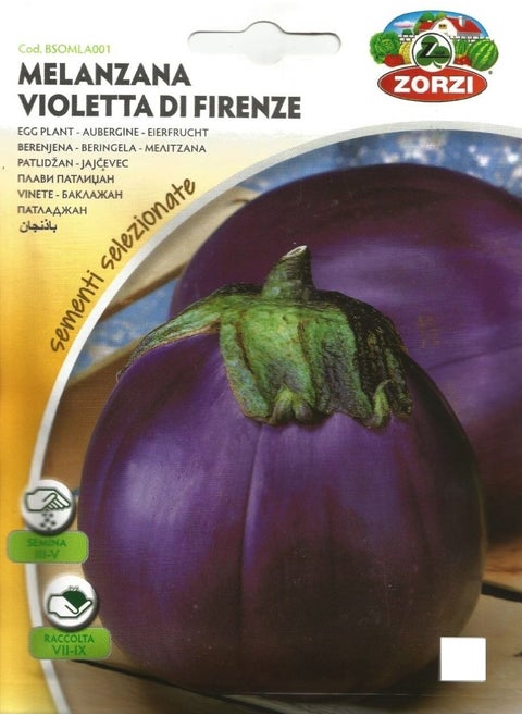 Eggplant Seeds