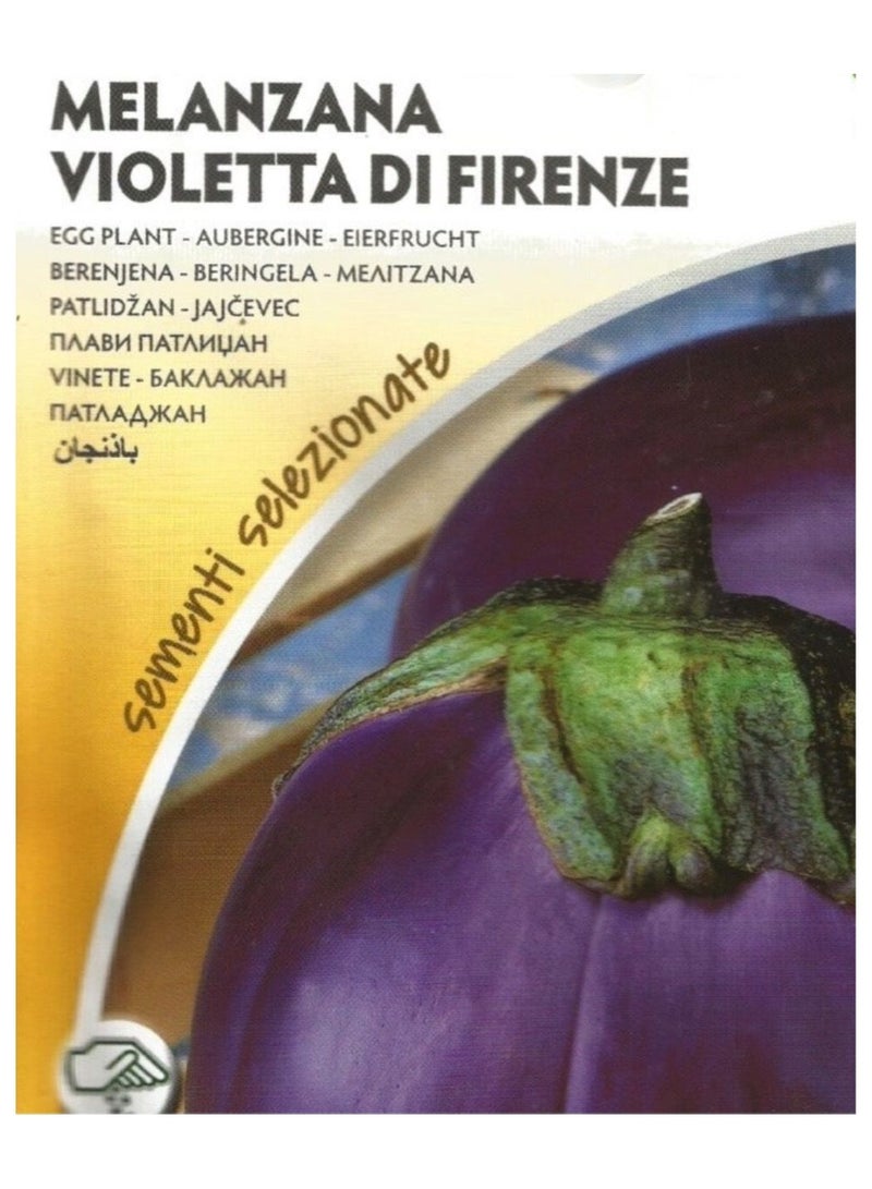 ZORZI Eggplant Seeds - Image 2