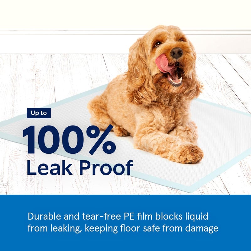 Stack Man Puppy Pads Pet Pee Pads for Dogs & Puppy Training [100-COUNT] Potty Pads for Dogs 22" x 22" Leak-Proof Dog Pee Pads - Quick-Dry Surface - Heavy Duty Absorbent Disposable Dog Wee Pad Bulk Pack - Image 3