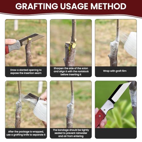 HASTHIP® Grafting Cutter Folding Stainless Steel Grafting Cutter Anti-slip Wooden Handle Design Pocket Gardening Grafting Cutter Portable Gardening Cutter - Image 3